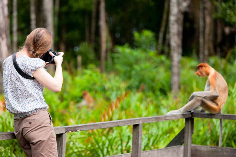 Borneo is a wildlife photographer's dream destination