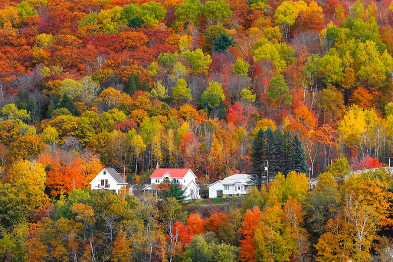 See Quebec in autumn | Travel Nation