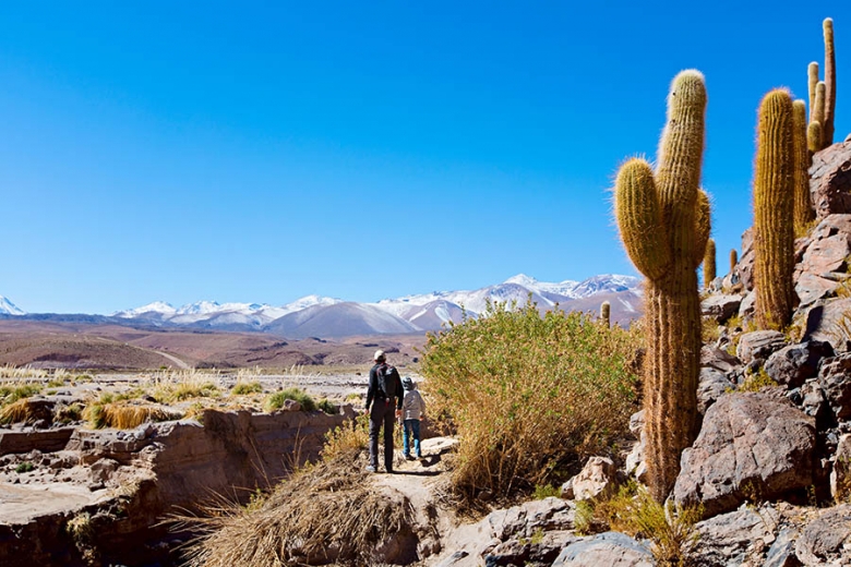Explore the Atacama Desert as a family | Travel Nation
