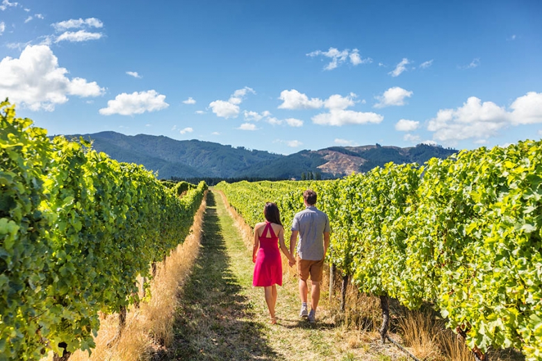 Go wine tasting in New Zealand's vineyards | Travel Nation