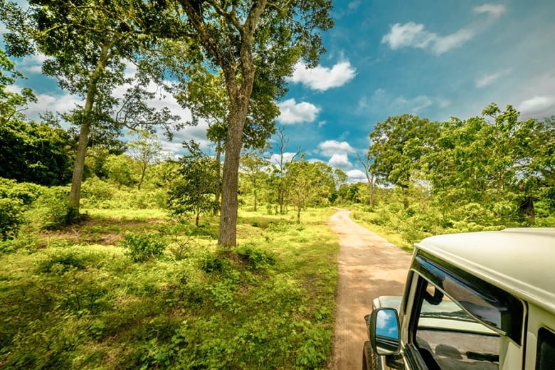 Seeing Sri Lanka by road is brilliant | Travel Nation