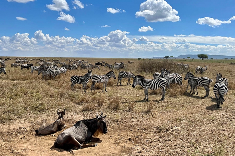 Explore the Serengeti | Travel Nation