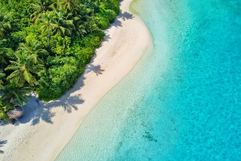 Palms trees on the beaches in the Maldives | Travel Nation