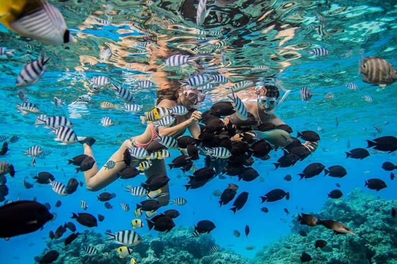 Snorkel amongst the amazing tropical fish that call this place home