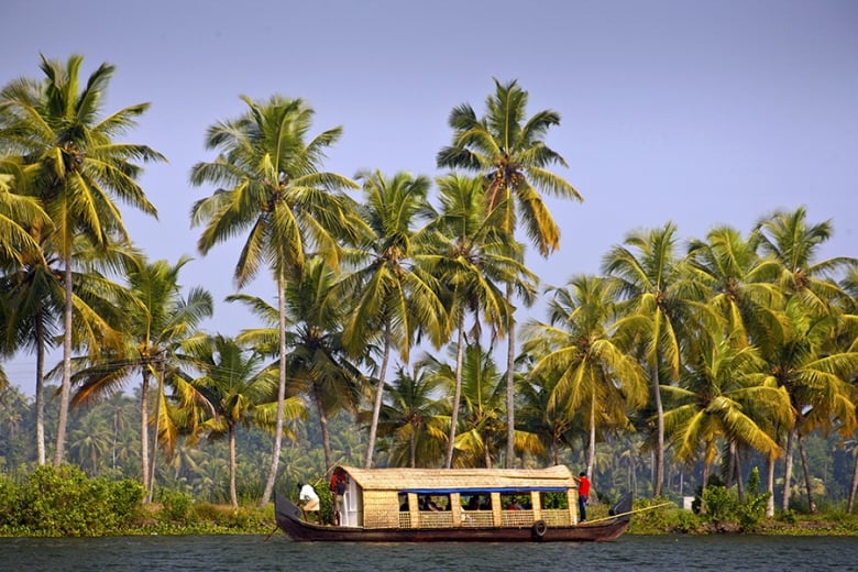 House boats weave through the tranquil backwaters 