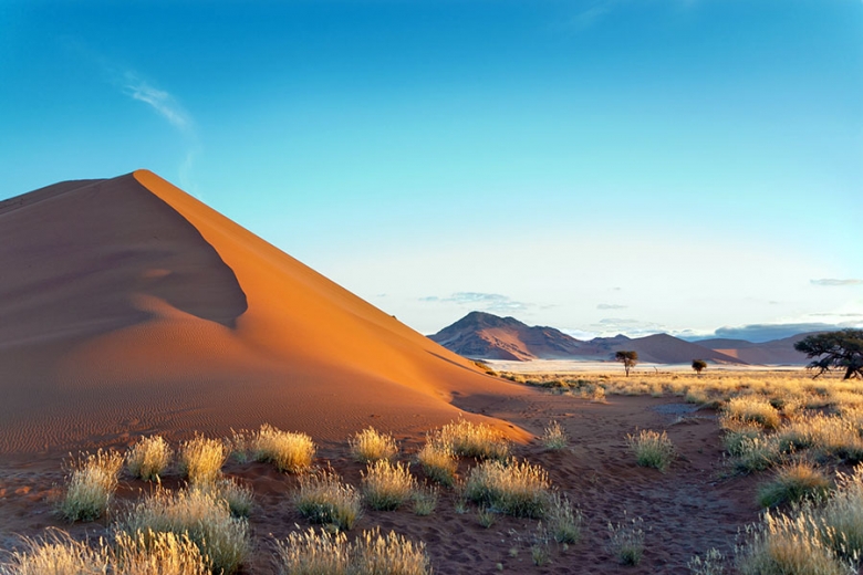 Discover the vast sand dunes of the Namib-Naukluft Park