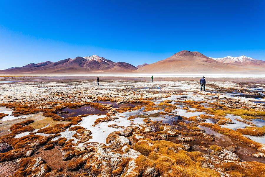 Bolivia's surreal landscapes are a sight to behold