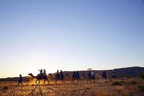 Camel Tour, Northern Territory | Photo credit Tourism NT and Maxime Coquard