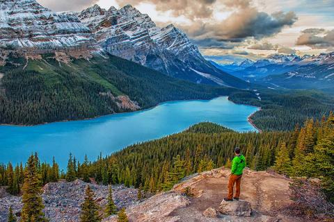 Hike to viewpoints over beautiful Peyto Lake | Travel Nation