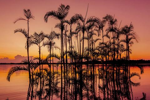 See the beautiful Laguna Grande at sunset | Travel Nation