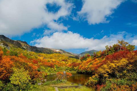 See the autumnal splendour of Hokkaido | Travel Nation