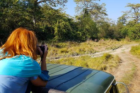 On safari in Chitwan National Park, Nepal | Travel Nation