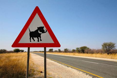 Warthog road sign, Namibia | Travel Nation