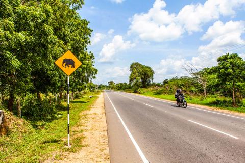 Typical rural road in Sri Lanka | Travel Nation