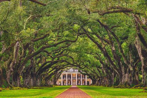 Visit the antebellum homes of the Deep South | Travel Nation