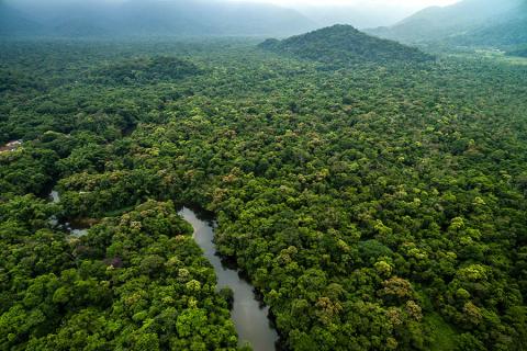 Amazon Rainforest in Colombia | Travel Nation
