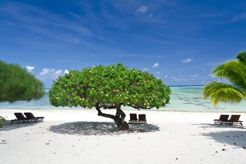 Peaceful beachfront at Etu Moana, Aitutaki | Travel Nation