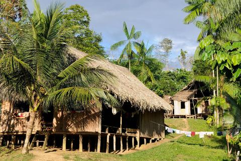 Discover local life in the Amazon basin
