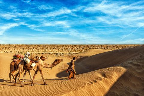 The city is gateway to the Thar Desert so camel treks and overnight safaris are the big draw here 