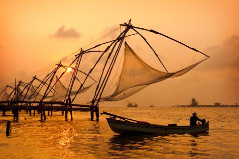 The iconic Chinese fishing nets line the harbour in Kochi (Cochin)
