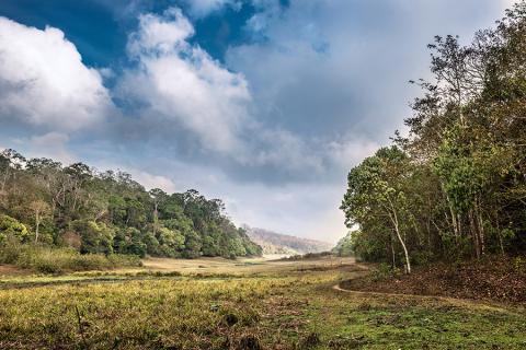 Periya National Park, Kerala, India