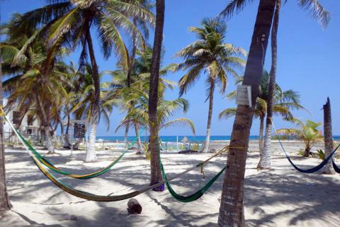 Relax in hammocks at Isla Mujeres
