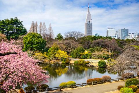 The Shinjuku Gyoen National Garden offers an escape from the hustle and bustle