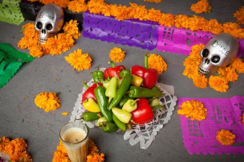 Experience the Day of the Dead in October - a celebration of ancestors and family