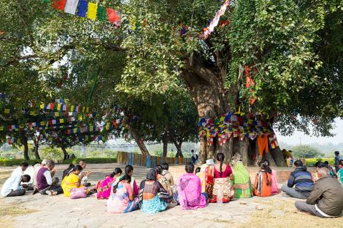 Lumbini is a holy place for all Buddhists