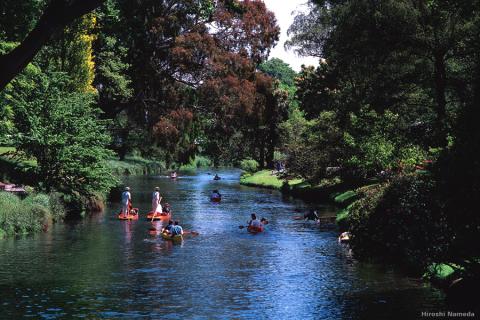 Enjoy a leisurely punt along the River Avon