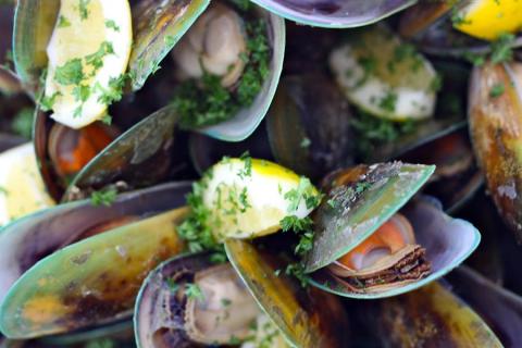 Taste Greenshell mussels and succulent Regal salmon whilst toasting local Sauvignon Blanc