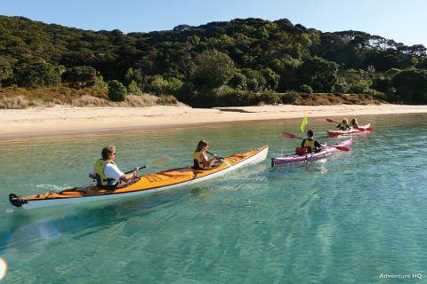 Why not explore the sub-tropical Bay of Islands by kayak?