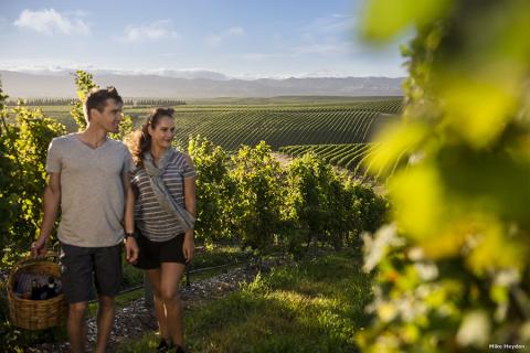 Marlborough boasts arguably the best wineries in all of New Zealand