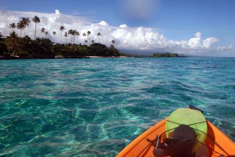 Explore the coast by kayak