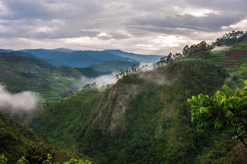 Uganda Berge