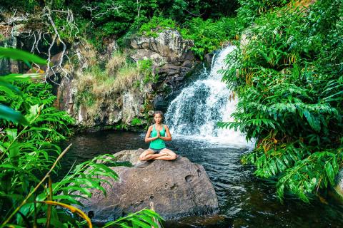 Many old established yogis settled in Hawaii to continue teaching yoga to people in paradise
