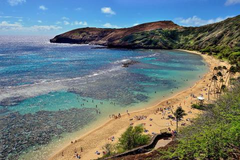 Head to Hanauma Bay Nature Preserve, where a colourful coral reef sits in an extinct volcanoes crater on the south coast