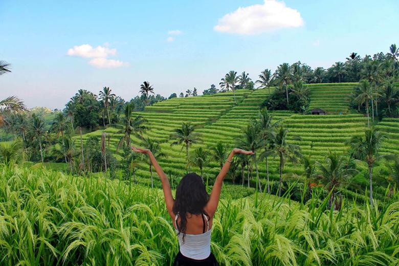 Escape to the rice terraces of Bali | Travel Nation