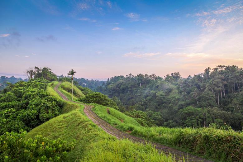 Walking the Campuhan Ridge Walk in Ubud Bali | Travel Nation