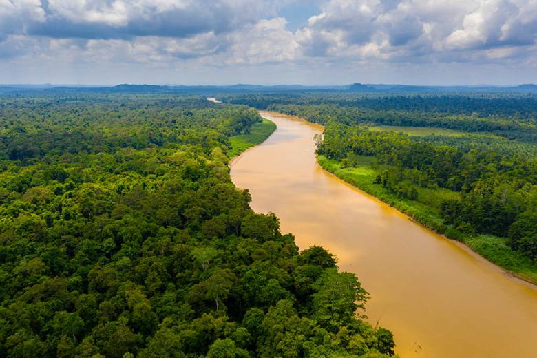 Take a wildlife safari on Borneo's Kinabatangan River | Travel Nation