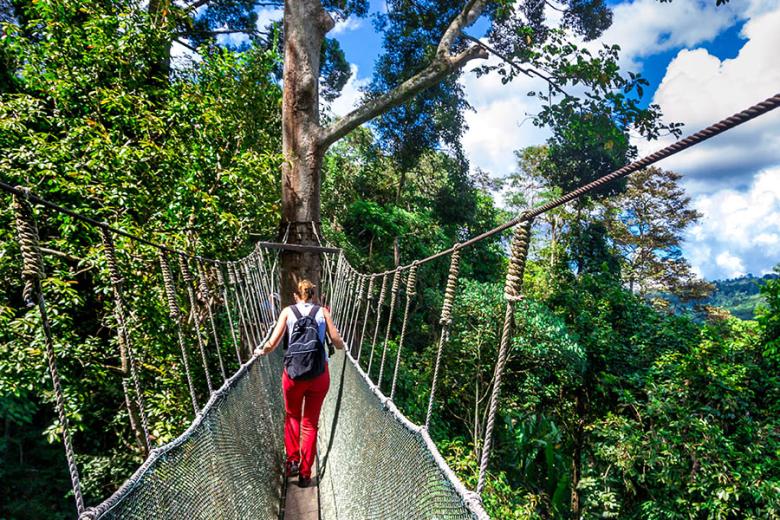 Follow hanging bridges through Kota Kinabalu National Park | Travel Nation