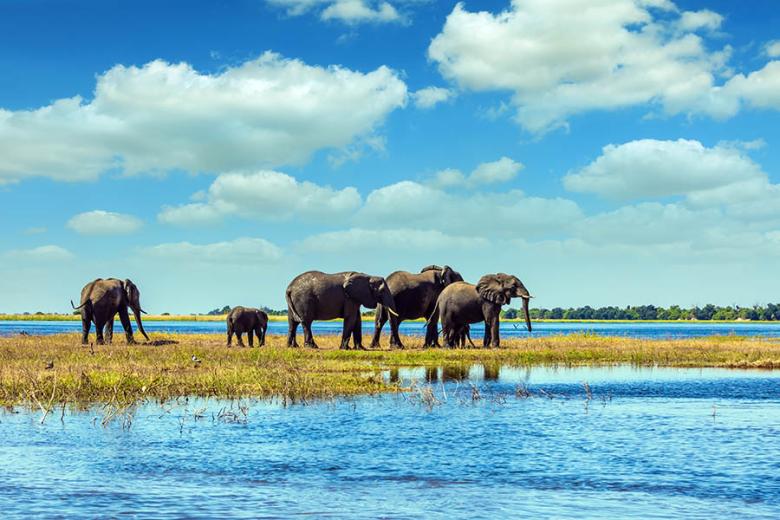 See elephants cross the rivers of the Okavango Delta | Travel Nation
