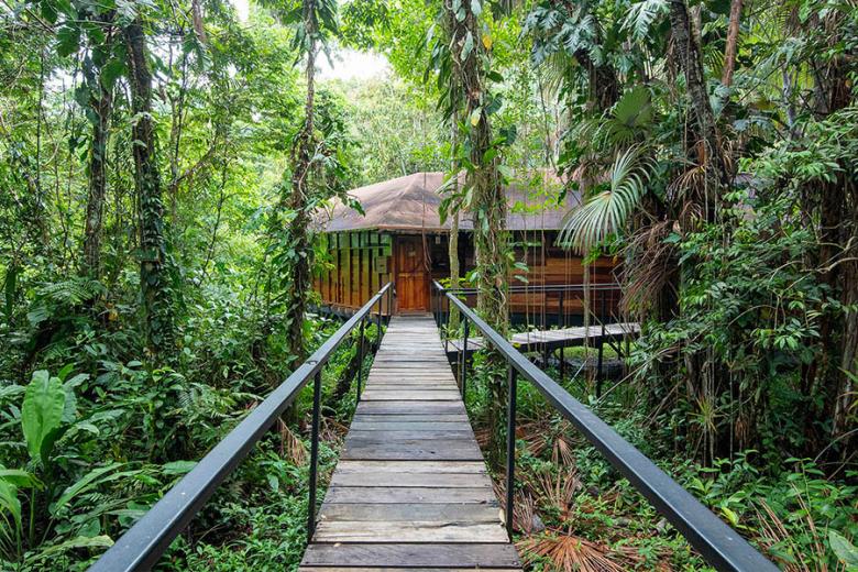 Stay at Sacha Lodge in the Ecuadorian Amazon | Photo credit: Sacha Lodge