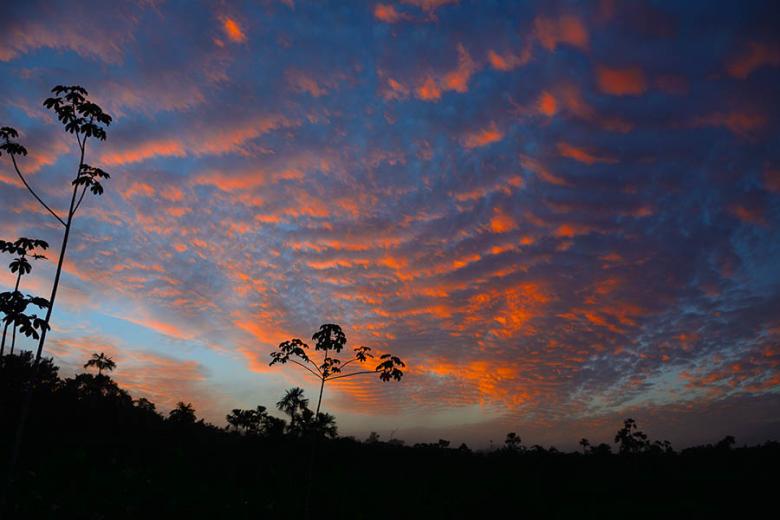 Experience sunset in the Ecuadorian Amazon | Travel Nation