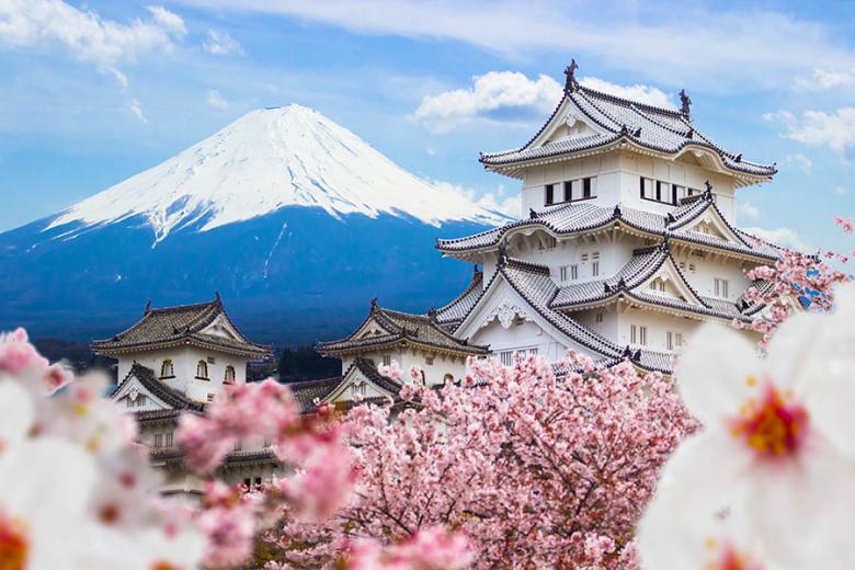 Visit Osaka Castle surrounded by cherry blossom | Travel Nation