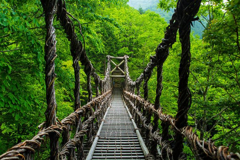 Cross the Kazurabashi vine bridge in the Iya Valley | Travel Nation