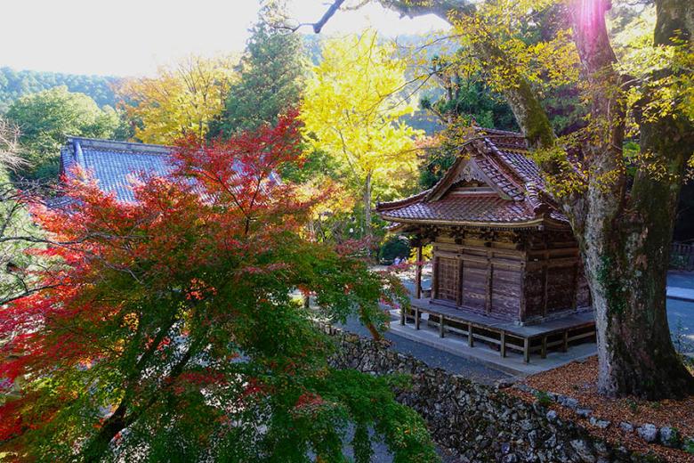 Visit the temples of Shikoku in their autumnal glory | Travel Nation