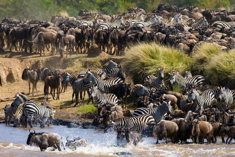 See the Great Migration in Kenya | Travel Nation