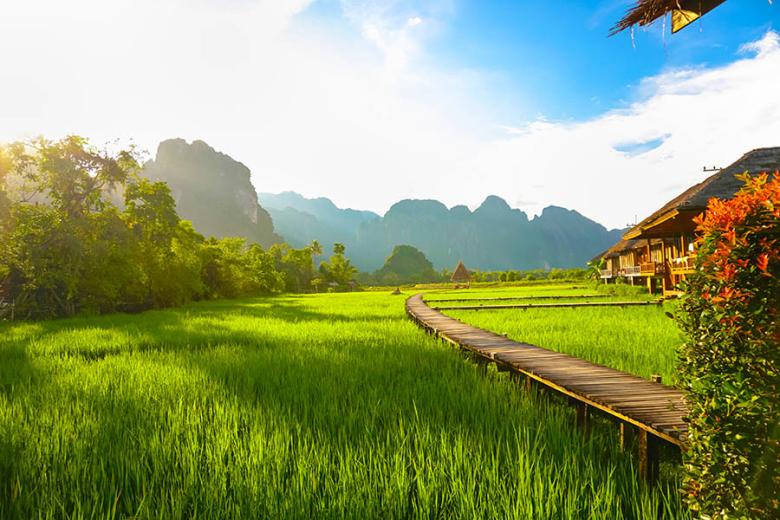 Wander between the rice paddies of Laos | Travel Nation