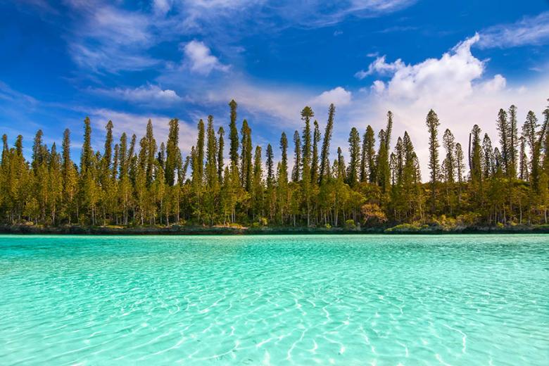 See the iconic pines against the lagoon at the Ile des Pins | Travel Nation